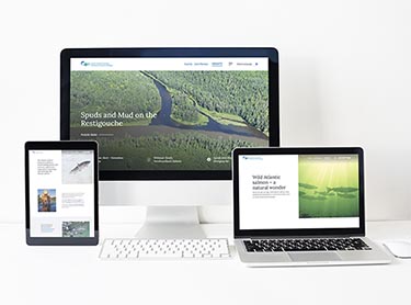 Atlantic Salmon Federation — responsive website on desktop, tablet, and laptop
